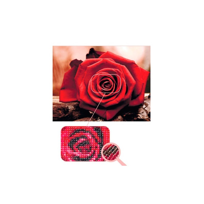 Rosa roja bordado con diamantes