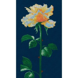 La rosa de la luz