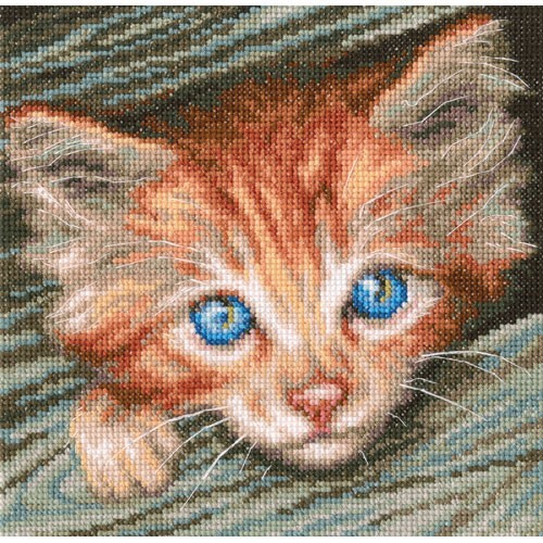 Kit punto de cruz Gatito observador