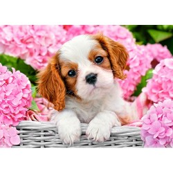 Spaniel bordado con diamantes