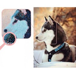 Husky bordado con diamantes