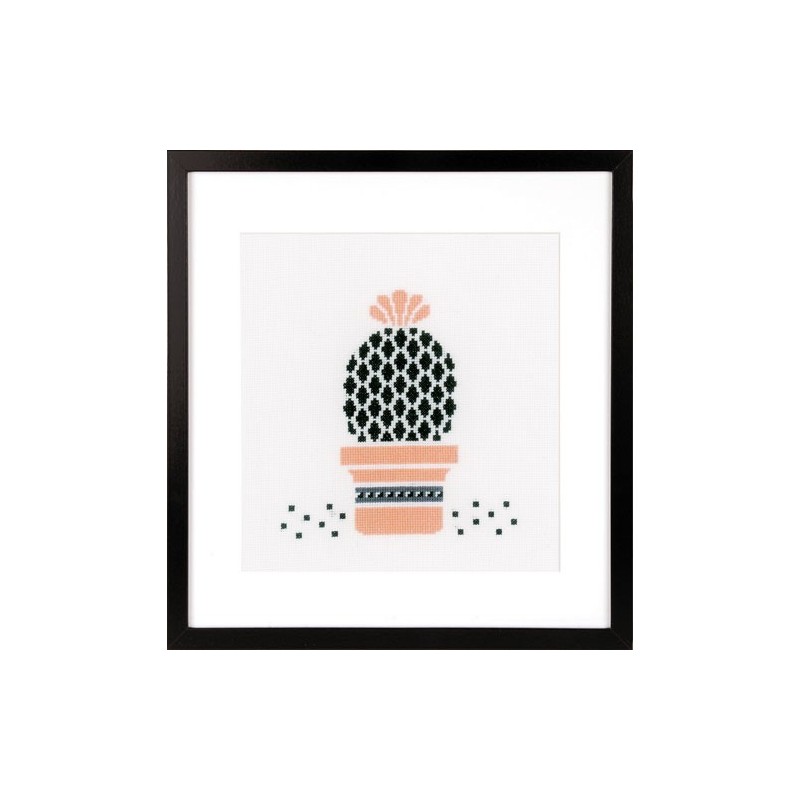Cactus 2