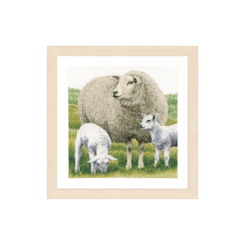 Familia de ovejas