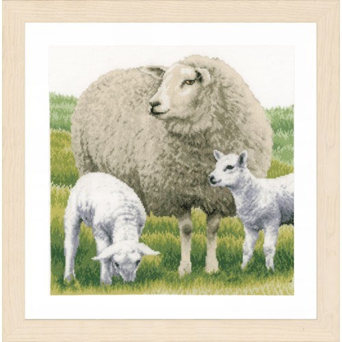Familia de ovejas