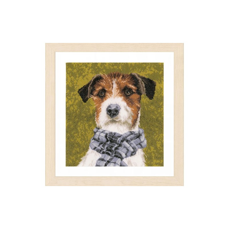 Terrier con bufanda