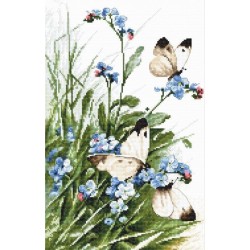 Blue berrys y mariposas
