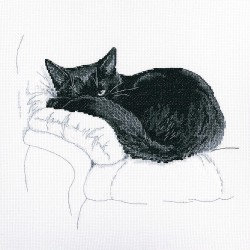 Gatito mirón