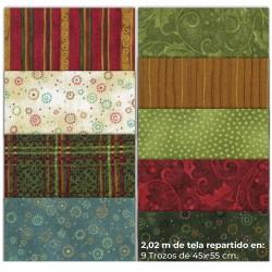 Pack Fat Quarters Star of...