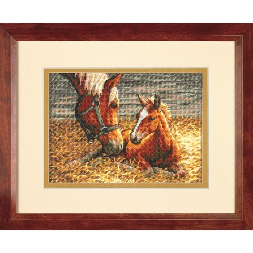 Caballo recien nacido