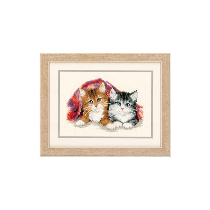 Dos gatos abrigados