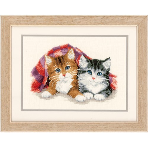 Dos gatos abrigados