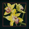Orquidea amarilla