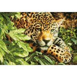 Kit punto de cruz Leopardo