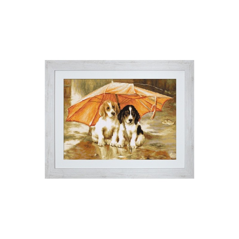 Perros bajo el paraguas
