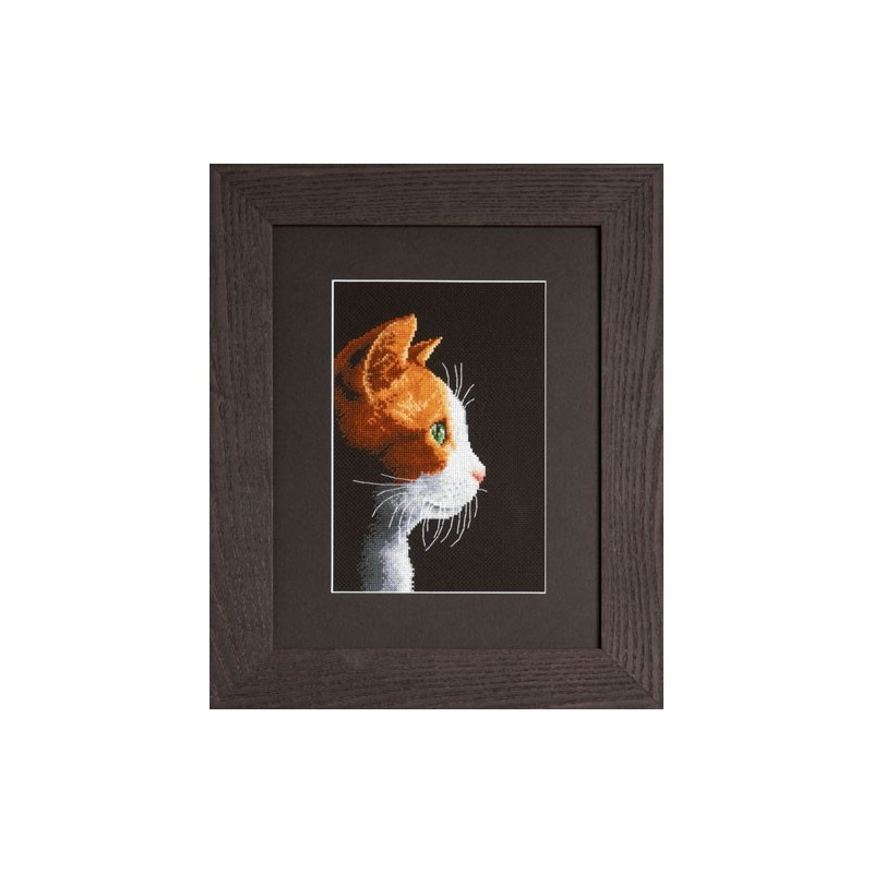 Retrato de gato
