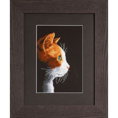 Retrato de gato