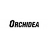 Orchidea